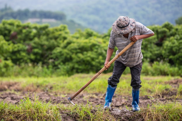 agricultor-que-usa-pala-cavar-suelo-sus-campos-arroz_1150-17239