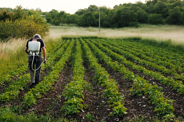 agricultor-tiro-largo_23-2148224090