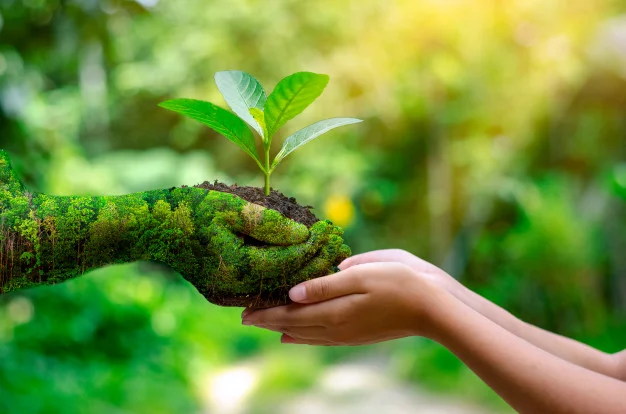 ambiente-dia-tierra-manos-arboles-que-crecen-plantulas_34998-113