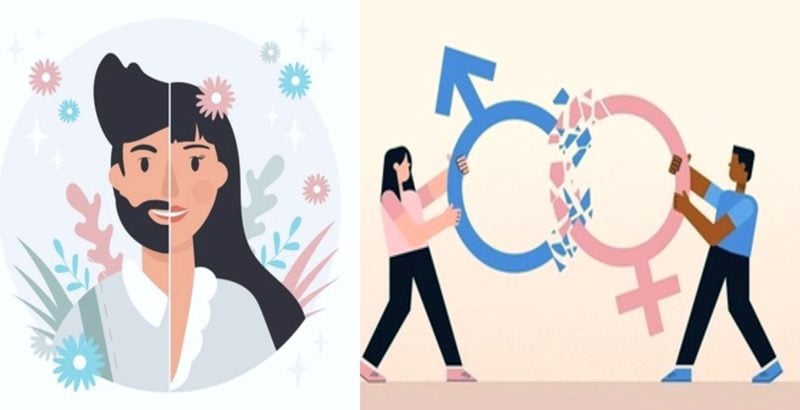 Portada Identidad de Genero