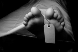 La fotógrafa mató casero, hizo creer al taxista engañado que entraba un perro muerto, antes del asesinato enterrado.