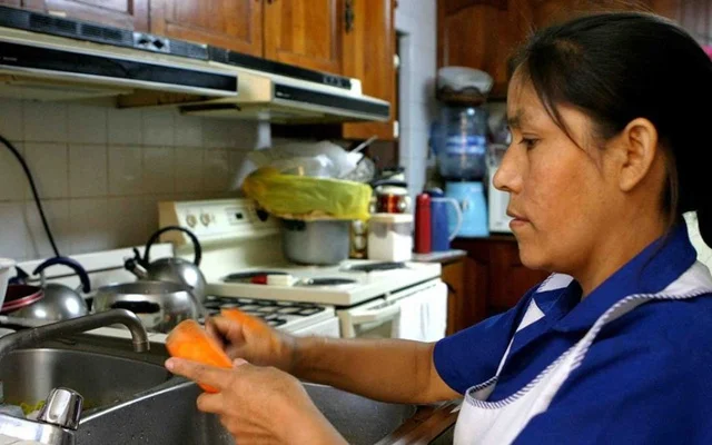 domesticas nicaragua