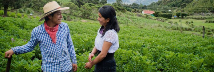 EMPLEO RURAL 2