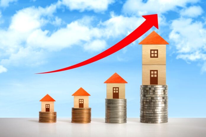 a pocos pasos de la ruta del sector vivienda (1)