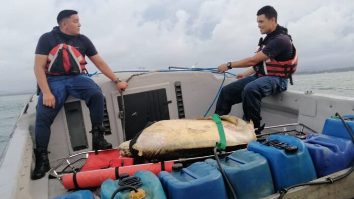 Rescate tortuga Limón166 Personas transportan suministros en una embarcación