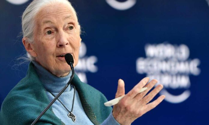 Jane Goodall CAMBIO CLIMATICO