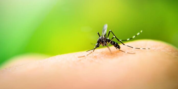 Ministerio-de-Salud-declaro-brote-de-Dengue-en-Perez-Zeledon