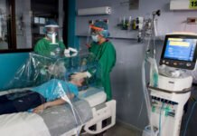Microbiota intestinal influiría en fiebre posvacunación COVID 19