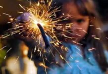 PIROTECNIA MATA PERRITO