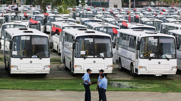 buses pinoleros