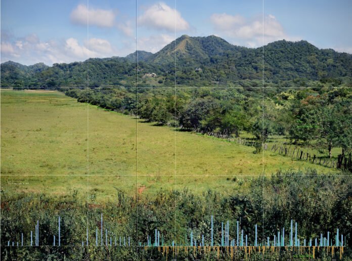 Paisaje Continuo_pampa