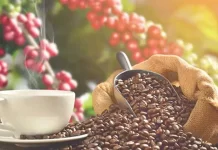 Café de Indonesia mejora seguridad laboral