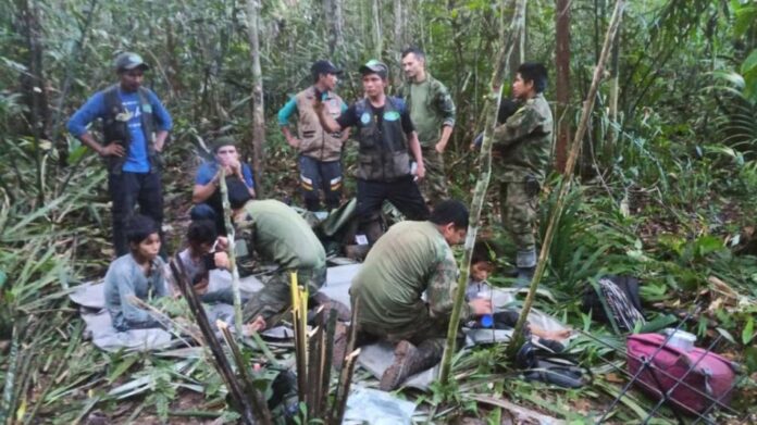 encuentran a niños en la selva