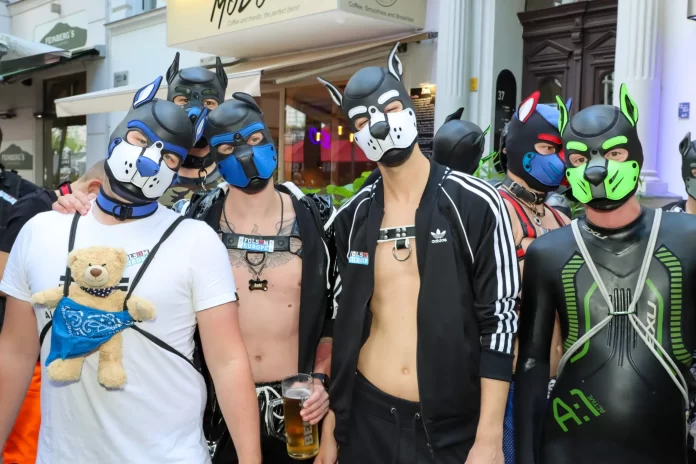 PUPPY-BUS-Official-Folsom-Europe-Sightseeing-Tour