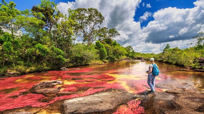 colombia paisaje