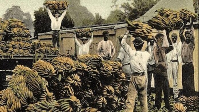 Trabajadores transportan racimos de banano
