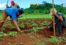 ONU destina $160 millones a crisis
