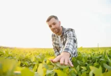 “Agro Latino informal al 80 %”