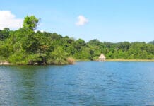 Costa Rica impulsa financiar biodiversidad