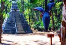 Guatemala fortalece financiamiento ambiental desde Costa Rica