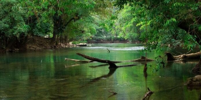 Rio-Sarstun-en-Livingston-Izabal