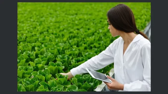 agricultura_y_tecnologxa.jpg_525981578