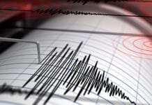 Osa acumula energía para terremoto Registro de ondas sísmicas