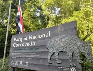 Corte ordena revertir aumento de cupos diarios en Parque Nacional Corcovado
