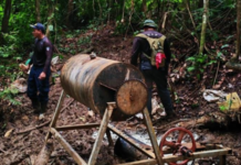 Vinculan gobierno nicaragüense con minería ilegal transfronteriza