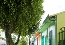 Bitácora de futuro: Dueto de amor