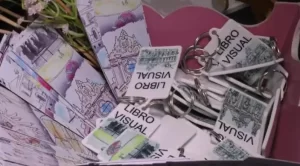 El Libro Visual Inclusivo presentado en Argentina fortalece la alfabetización de la primera infancia con imágenes accesibles y diversidad cultural.