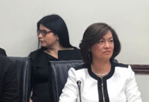 Gobierno cesa embajadora en El Salvador.