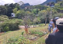 Bokashi: Revolución Verde para Suelos