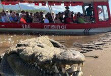 Crocodile Man Tours marca inclusión en Tárcoles