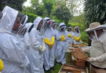 Abejas impulsan turismo en San Ramón